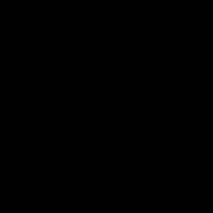 Meet your Posher, Marie